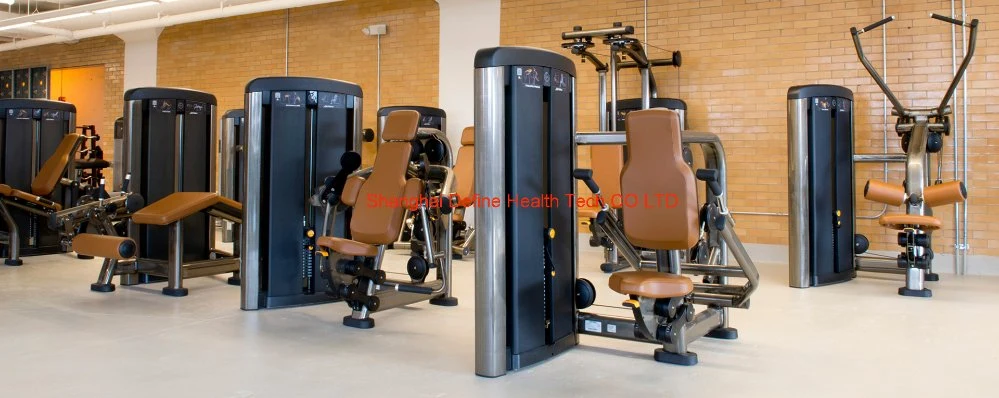 Selectorized Strength Machine,body-building machine,gym equipment,Commercial fitness,New best commercial Seated Leg Curl DF-9014